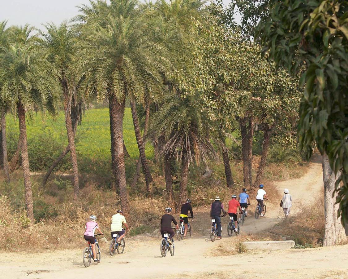 Shahpura Bagh Shāhpura Exterior foto